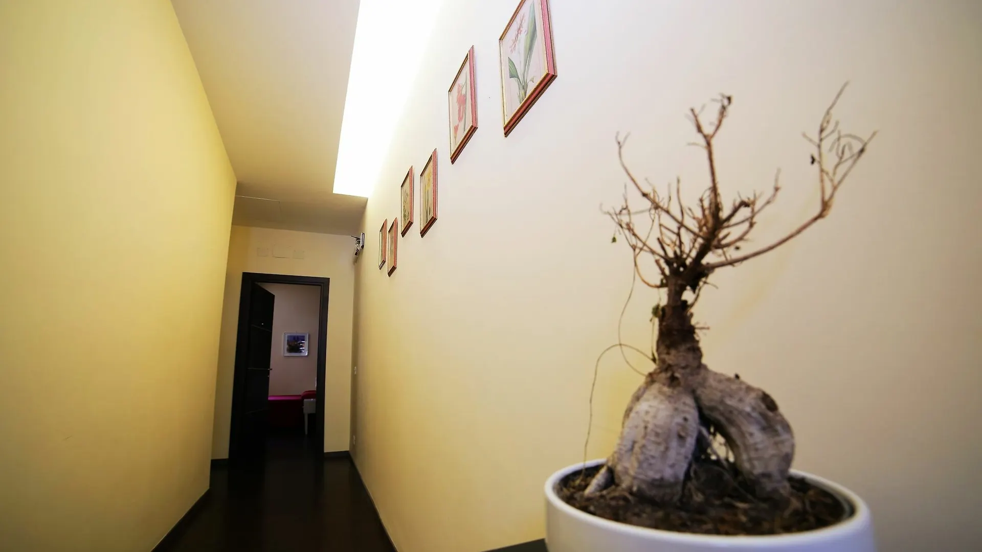 로마 바티칸 스위트 B&B 2*,